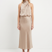 Apricot